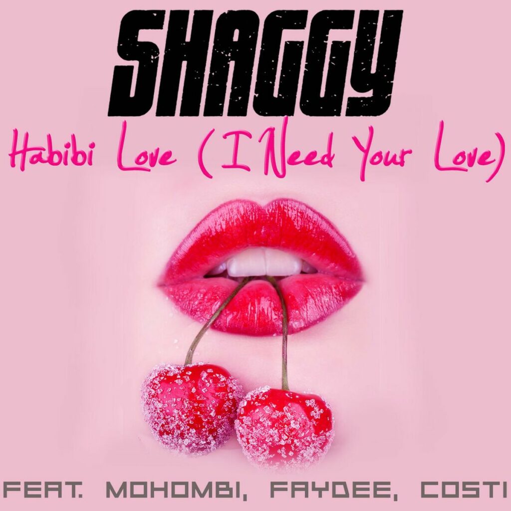 2015 Shaggy Mohombi Faydee Costi – Habibi