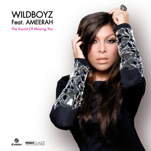 2014 Wildboyz ft. Ameerah – The Sound Of Missing You