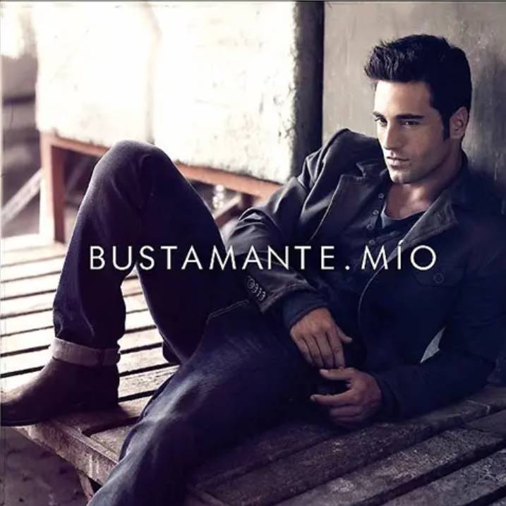 Bustamante (2013)