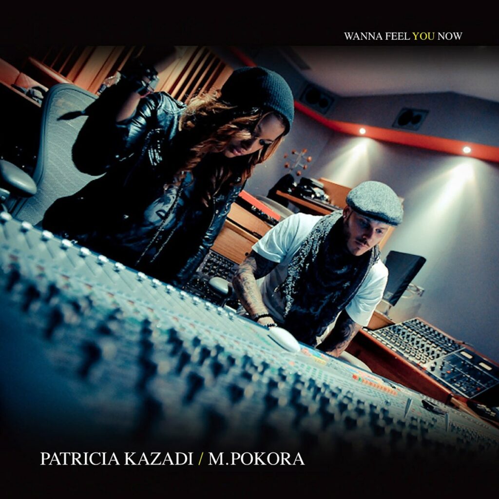 2015 Patricia Kazadi & M. Pokora – Wanna Feel You Now